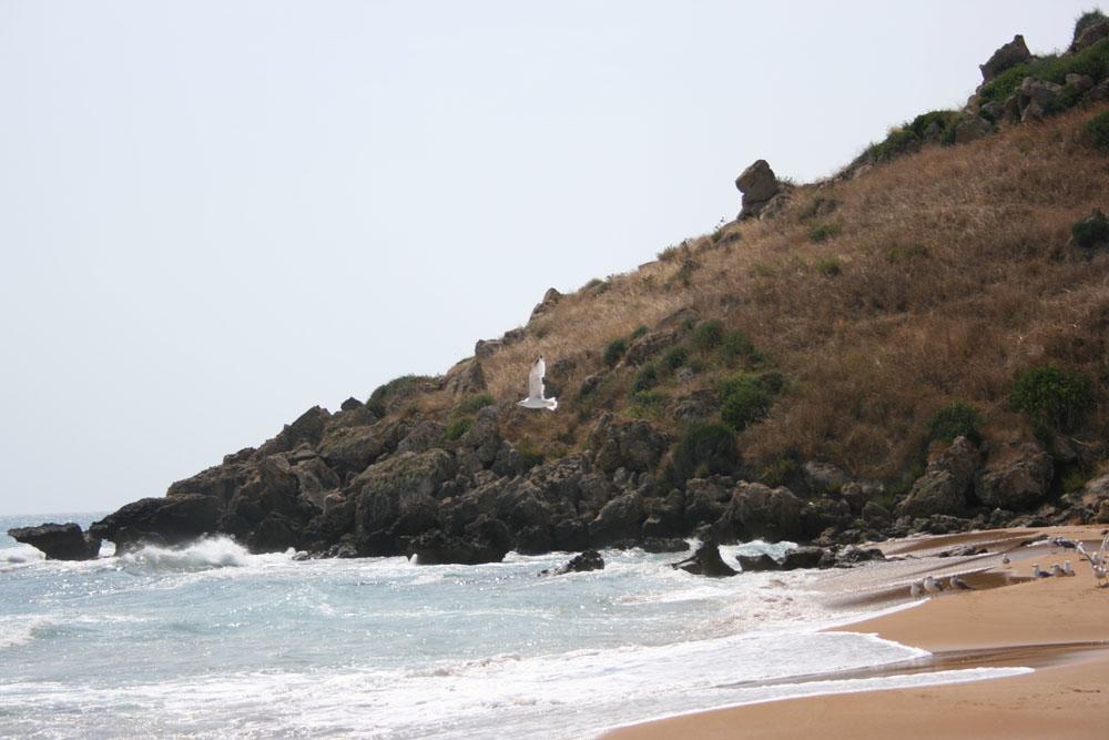 Casa Elvira Acomodação com café da manhã Isola Di Capo Rizzuto Exterior foto